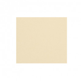 8.5X11 10M 20# (75 GSM) Buff Xerox 30% PCW Recycled Multipurpose Pastel Col