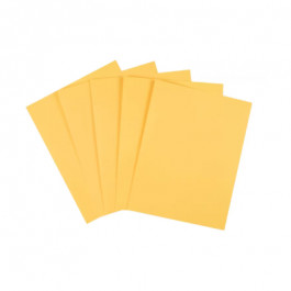 8.5X11 10M 20# (75 GSM) Goldenrod Expert Multipurpose Pastel Colors Letter