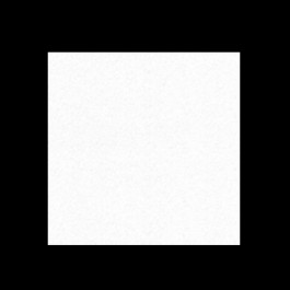 17X22 40M 20# (75 GSM) White Capitol State Motto Bond Light Cockle 25% Cott