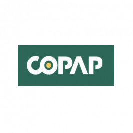 8.5X11 10M 20# (75 GSM) Salmon Multipurpose Pastel Colors Letter Size Copy