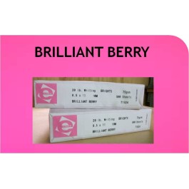 8.5X11 10M 20/50# (75 GSM) Brilliant Berry Ecopy Multipurpose 30% PCW Recyc