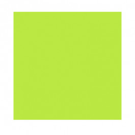 8.5X11 11.8M 24/60# (90 GSM) Vulcan Green Astrobrights Letter Size Copy Pap