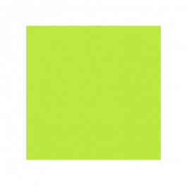 8.5X11 23.38M 65# (176 GSM) Vulcan 20/50# Green Astrobrights Heavy Weight C