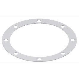 MOFRNF024 Ring Gasket, Each
