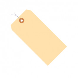 MANILLA BLANK TAG W/RNFRCD HOLE & WIRE 4 3/4 X 2